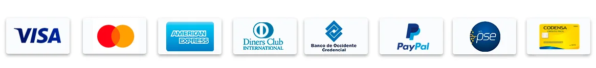 Payments Accept